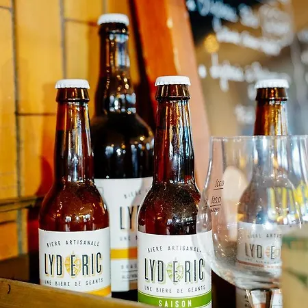 Kyriad Lille - מלון 3*